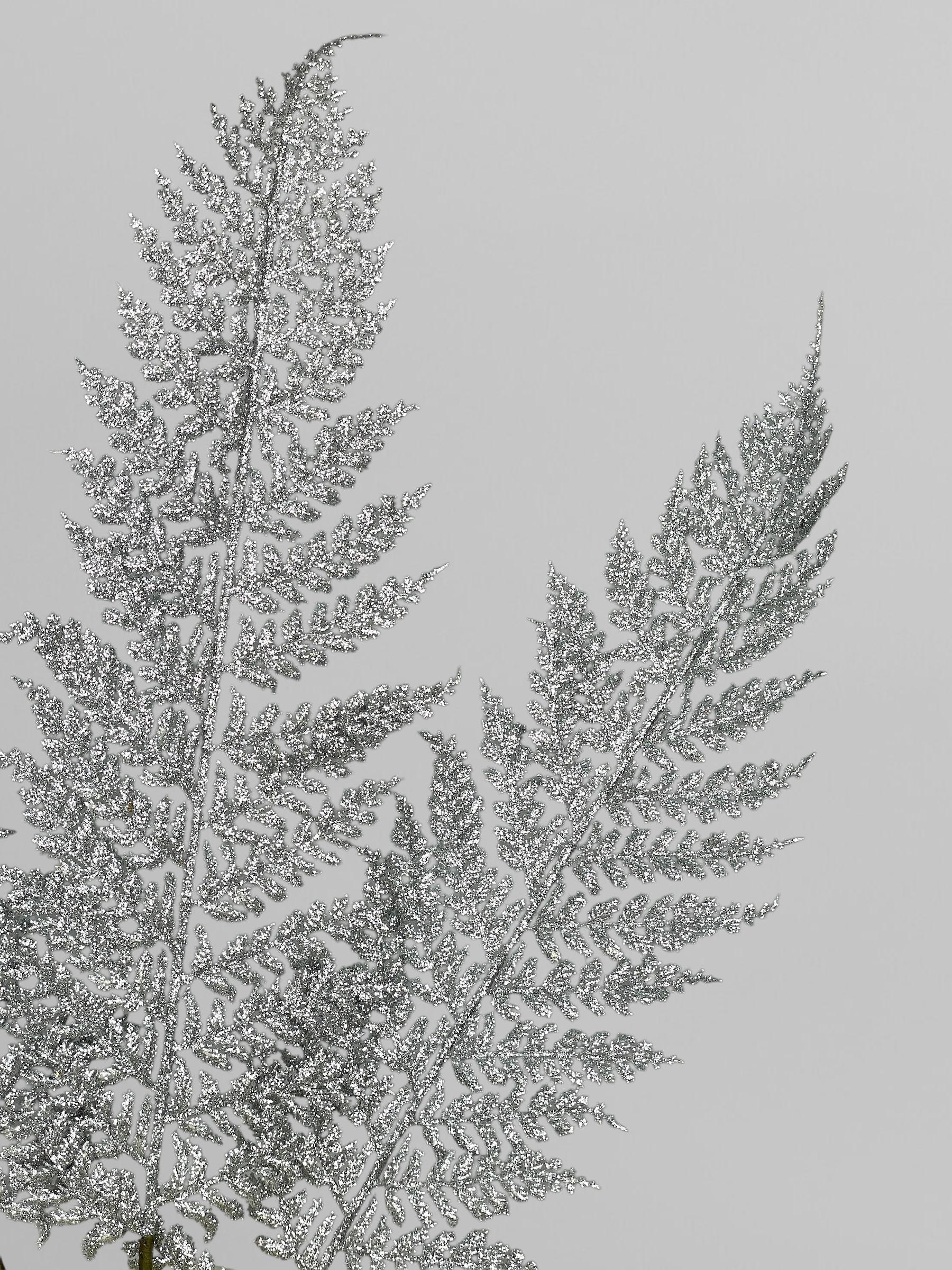 Искусственный папоротник из мягкого пластика с блестками 88 см Серебряный (Р03022) - фото 5 Искусственный папоротник из мягкого пластика с блестками 88 см Серебряный (Р03022) - фото 5