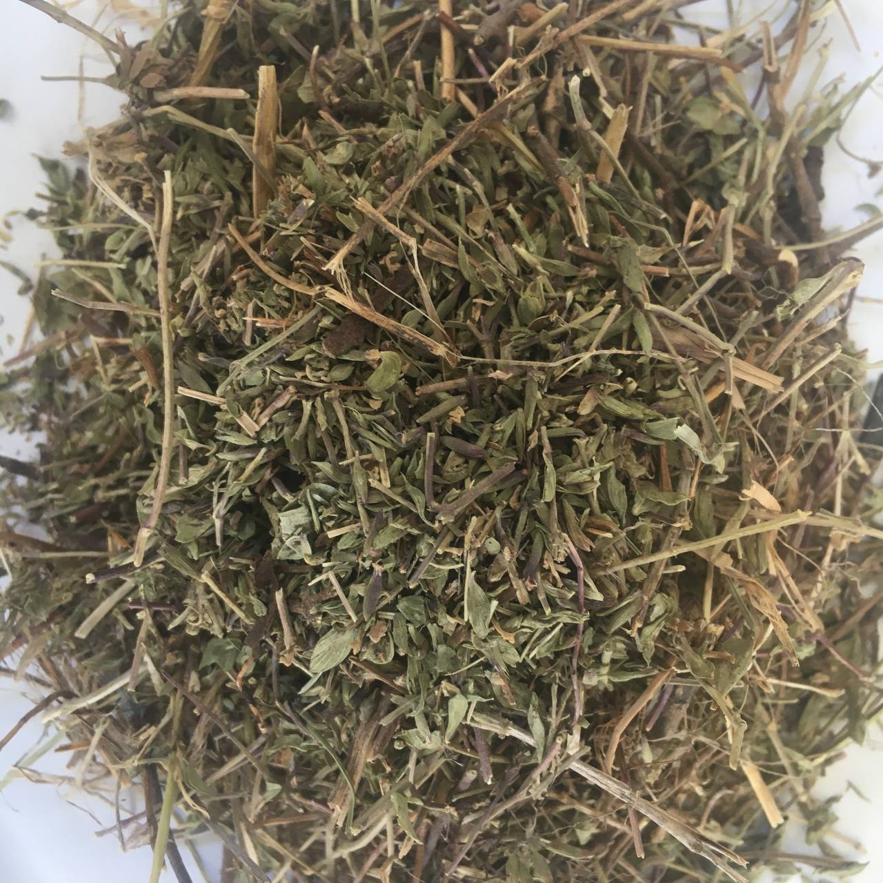 Горец перечный водяной Карпаты 50 г (62970459494a9b783e75fe72) - фото 2