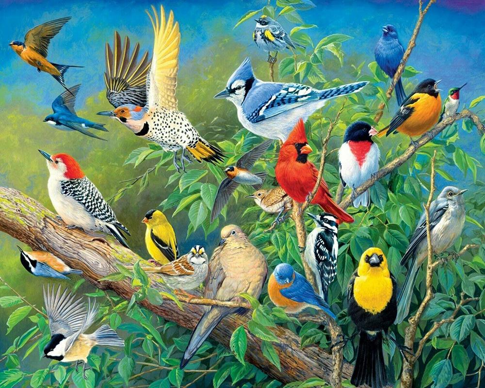 Алмазная мозаика Emerald Craft Райские птицы 30x40 см (22339)