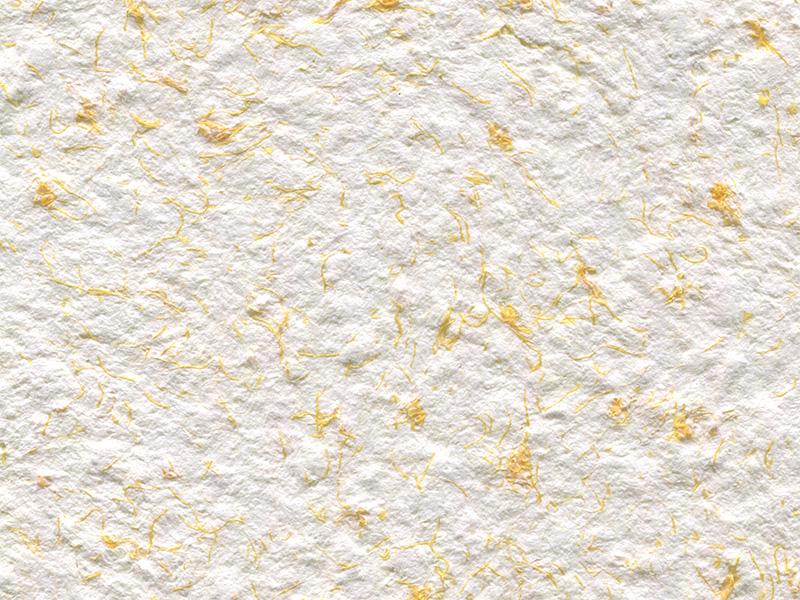 Рідкі шпалери Стиль Тип 2