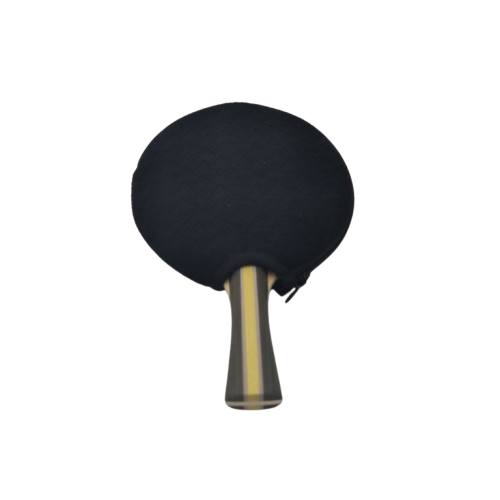 Ракетка для настольного тенниса DHS H3002 с чехлом (160458)