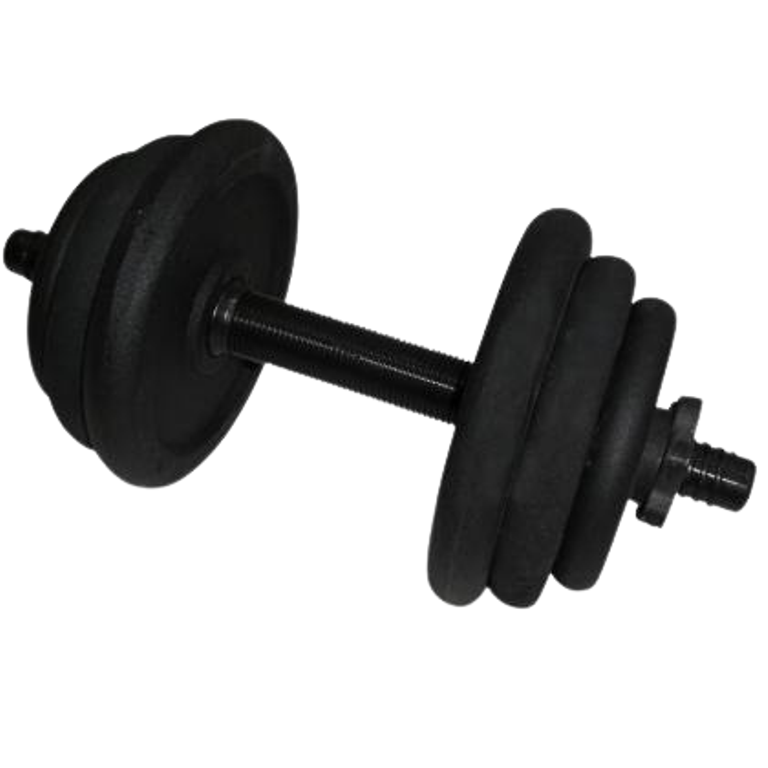 Гантель сборная Newt стальная 12,5 кг (NE-300-GP013_newt_NM)
