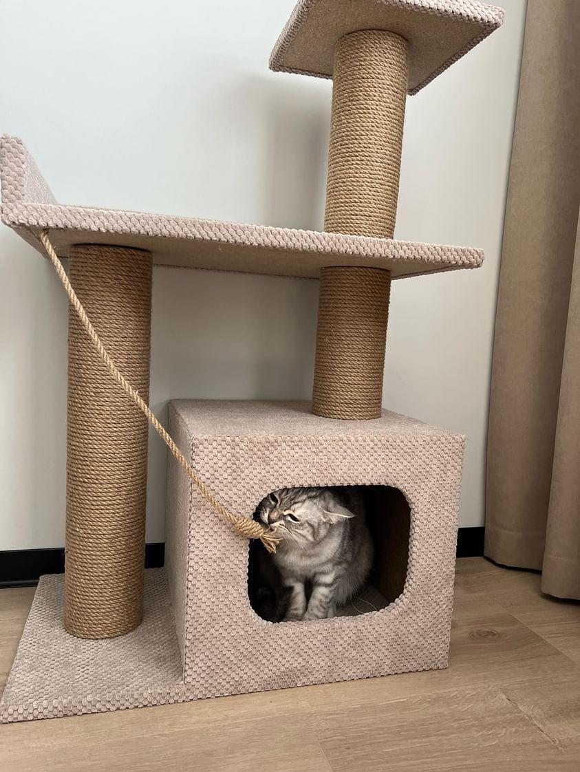 Кігтеточка з будиночком та лежанкою 85x55x35 см Бежевий (21706949) - фото 4 Кігтеточка з будиночком та лежанкою 85x55x35 см Бежевий (21706949) - фото 4