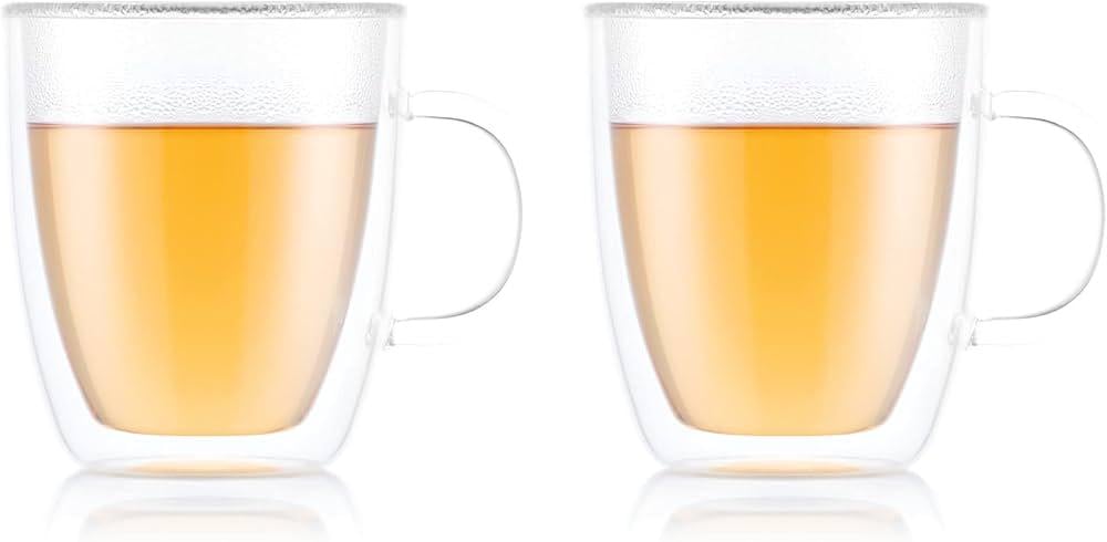 Набір чашок із подвійними стінками Bodum Bistro 450 мл 2 шт. (10606-10)