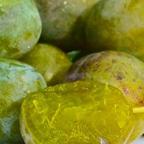 Сажанец Слива Ренклод Белый летний сорт ранний срок созревания (21375)