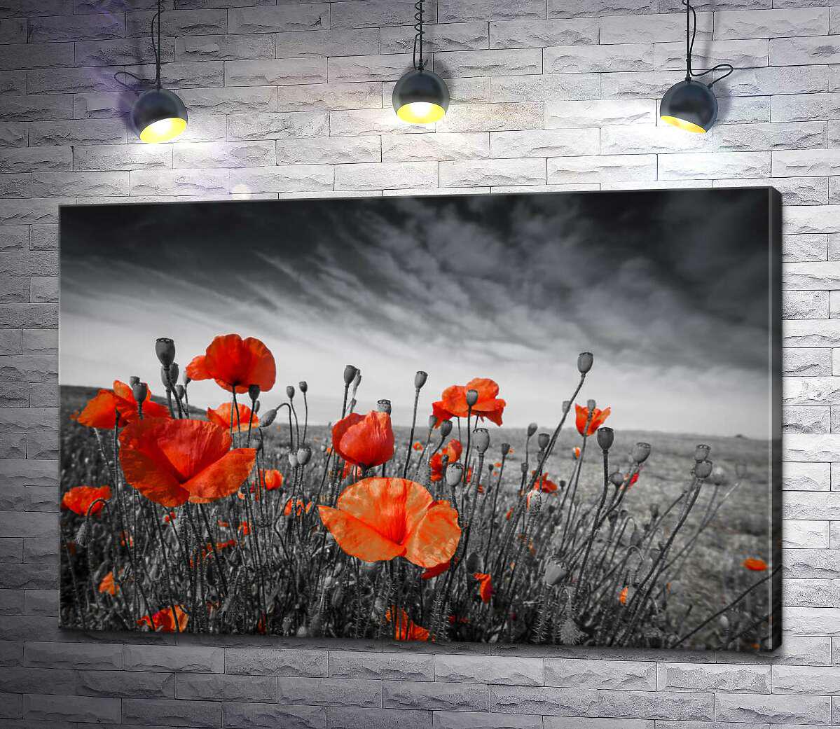 Картина ArtPoster Яркий куст маков на краю поля 100x66 см Модуль №1 (003030)