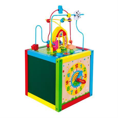 Бизикуб Viga Toys 5в1 (18303)