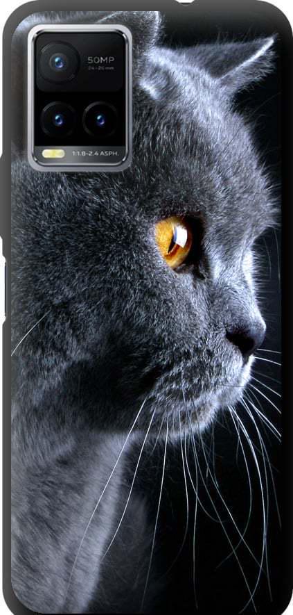 Чехол на Vivo Y33s Красивый кот (3038b-2643-42517)