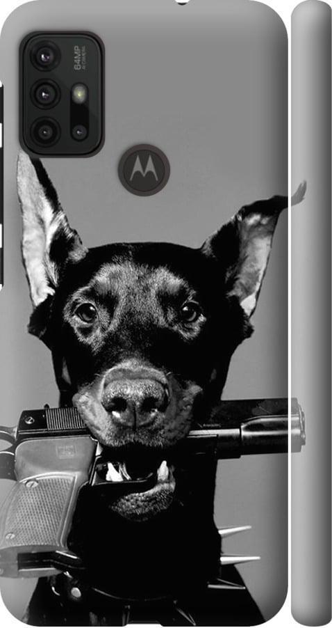 Чехол на Motorola Moto G10 Доберман (2745m-2319-42517)