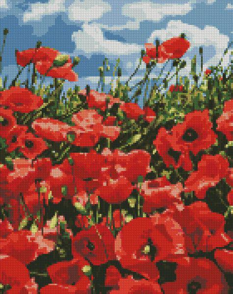 Алмазная мозаика Идейка Удивительные маки 40x50 см (Id-AMO7056)