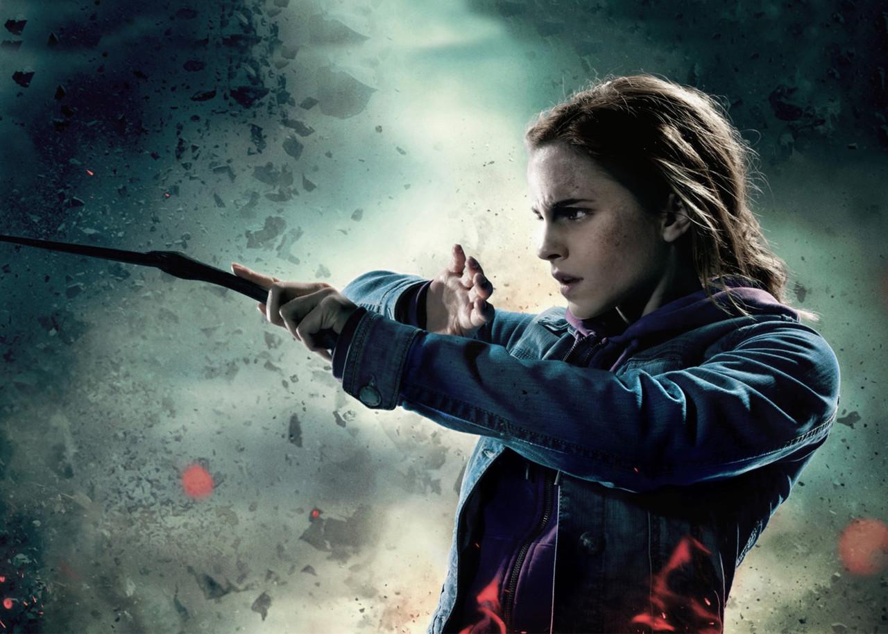 Картина GeekLand Harry Potter Гермиона (HP 09.014)
