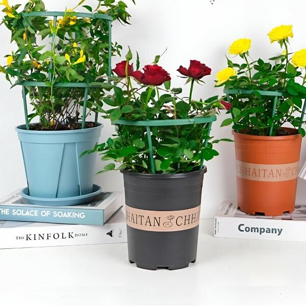 Подпорки для комнатных цветов 12 больших/12 малых Зеленый (C00082-1) - фото 3 Подпорки для комнатных цветов 12 больших/12 малых Зеленый (C00082-1) - фото 3