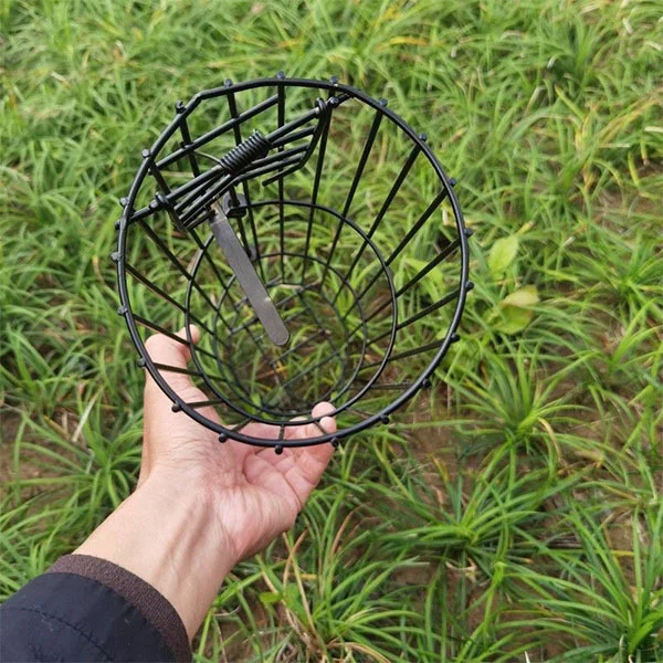 Ловушка для вредителей (Q00525) - фото 3 Ловушка для вредителей (Q00525) - фото 3