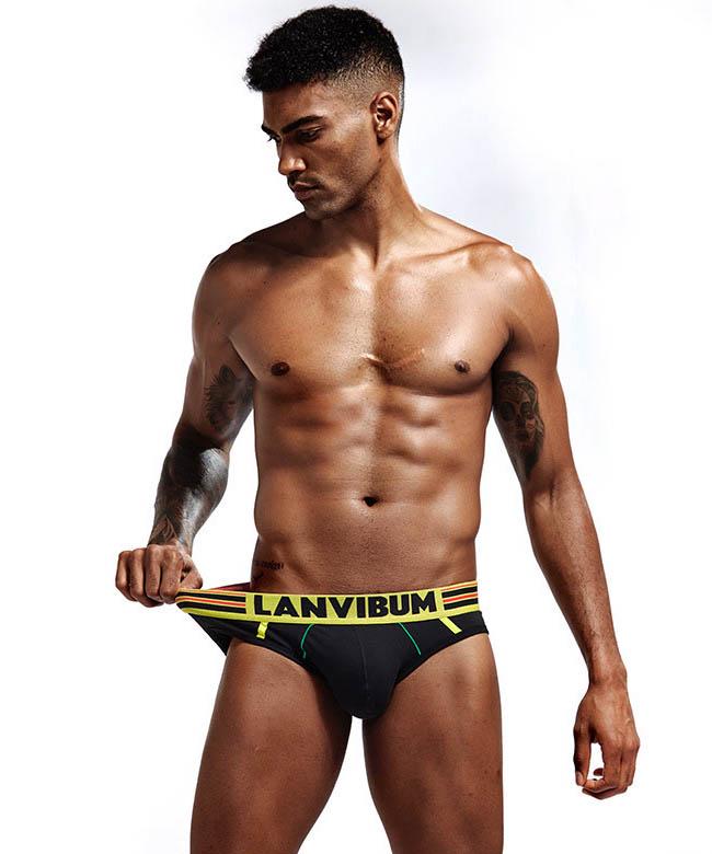 Трусы Lanvibum XXL Черный (5529)