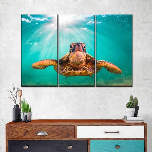 Модульная картина KIL Art Большая черепаха из трех частей 78x48 см (M3_M_107)