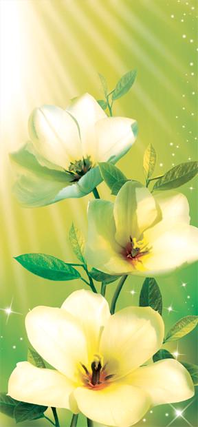 Фотошпалери на паперовій основі Ніка Стелла 6Л 210х097 см (2000000453613)