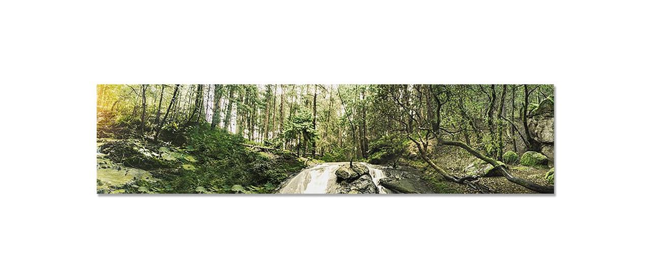 Наклейка виниловая 3D Zatarga Старый лес 600х2500 мм (1274514132)