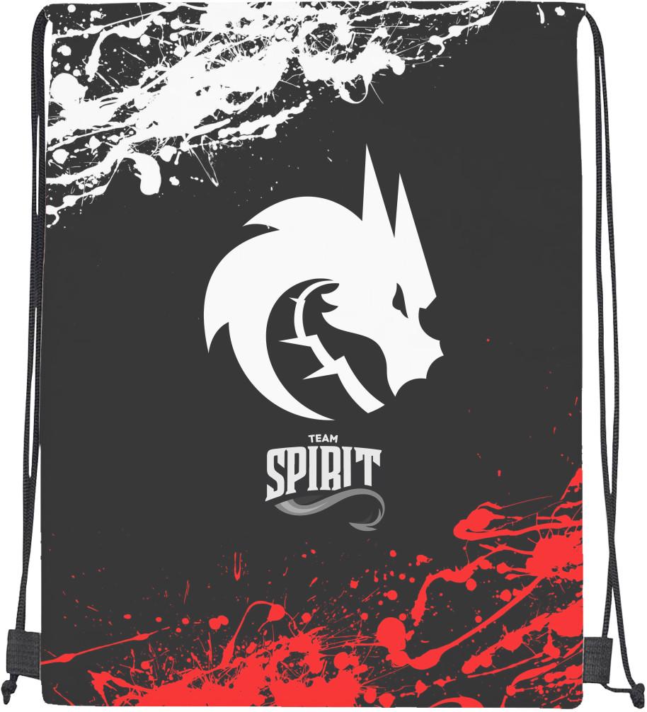 Мішок спортивний Team Spirit 4 (20298964)