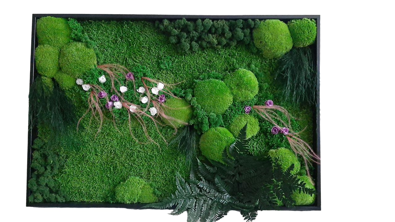 Картина из мха Organic Design Ягель и Растения 829 90x60 см (829-90-60) Картина из мха Organic Design Ягель и Растения 829 90x60 см (829-90-60)