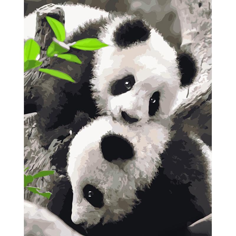 Картина по номерам Strateg Премиум Пандочки с лаком 40х50 см (GS1214)