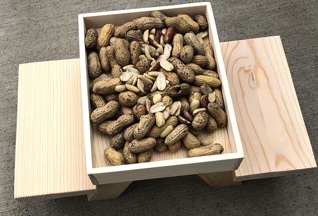 Кормушка для белок из дерева Арахис (ДДБ-000200) - фото 7 Кормушка для белок из дерева Арахис (ДДБ-000200) - фото 7