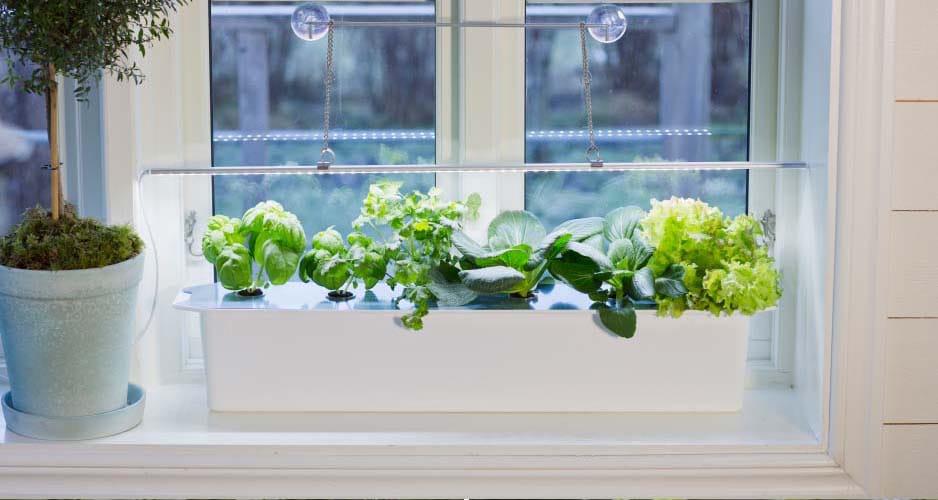 LED лампа для роста растений Nelson Garden 85 см (400022) - фото 2