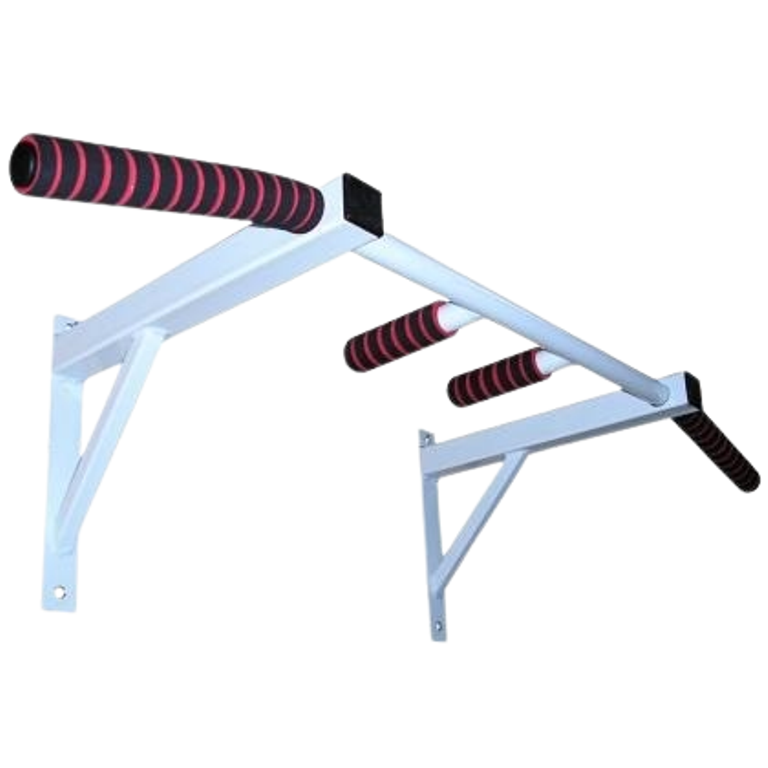 Турнік настінний Newt 2в1