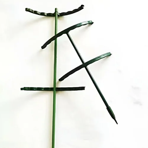 Подпорки для комнатных цветов 12 больших/12 малых Зеленый (C00082-1) - фото 5 Подпорки для комнатных цветов 12 больших/12 малых Зеленый (C00082-1) - фото 5