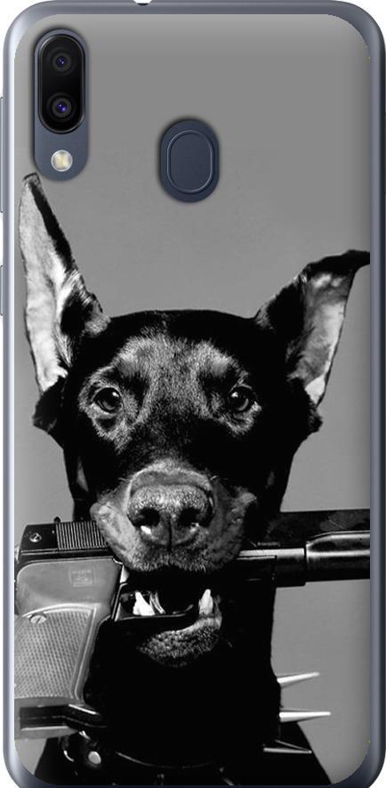 Чехол на Samsung Galaxy M20 Доберман (2745t-1660-42517)