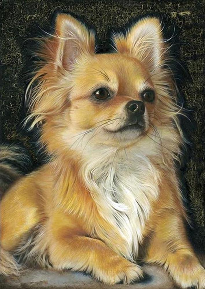 Алмазная мозаика Emerald Craft Чихуахуа 30x40 см (23225)