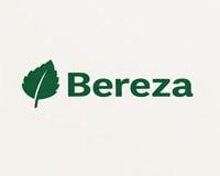 Bereza