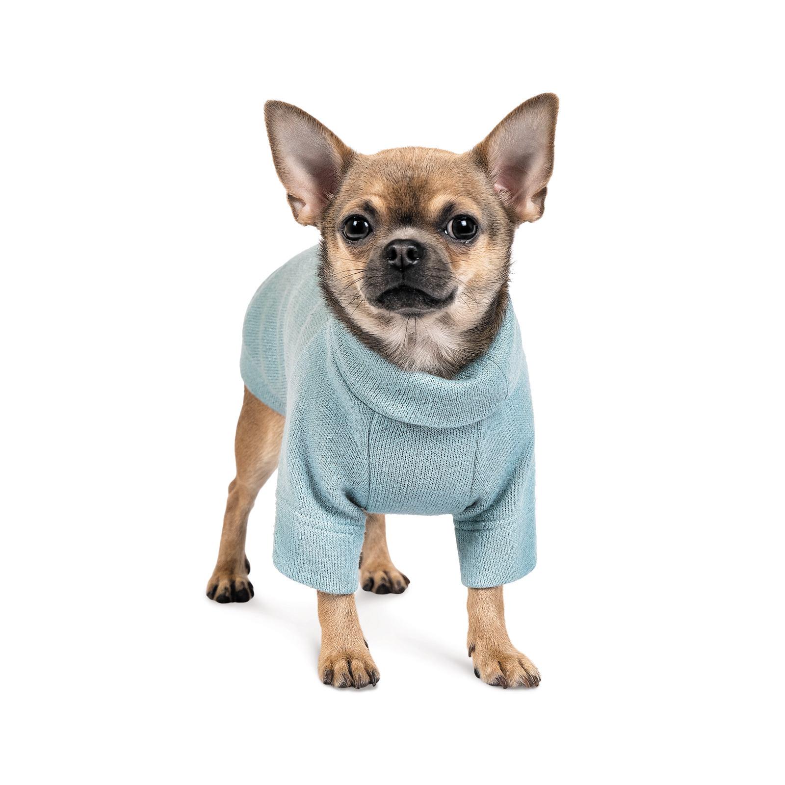 Свитер Pet Fashion Sense S Бирюзовый (100839)