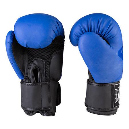 Перчатки боксерские Everlast DX-3597 матовый 10 oz Синий (10313993)