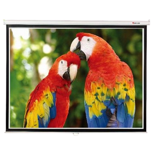 Экран для проекторов Redleaf SGM-1103 настенный 180x180 см 100" (tf2647) Экран для проекторов Redleaf SGM-1103 настенный 180x180 см 100" (tf2647)