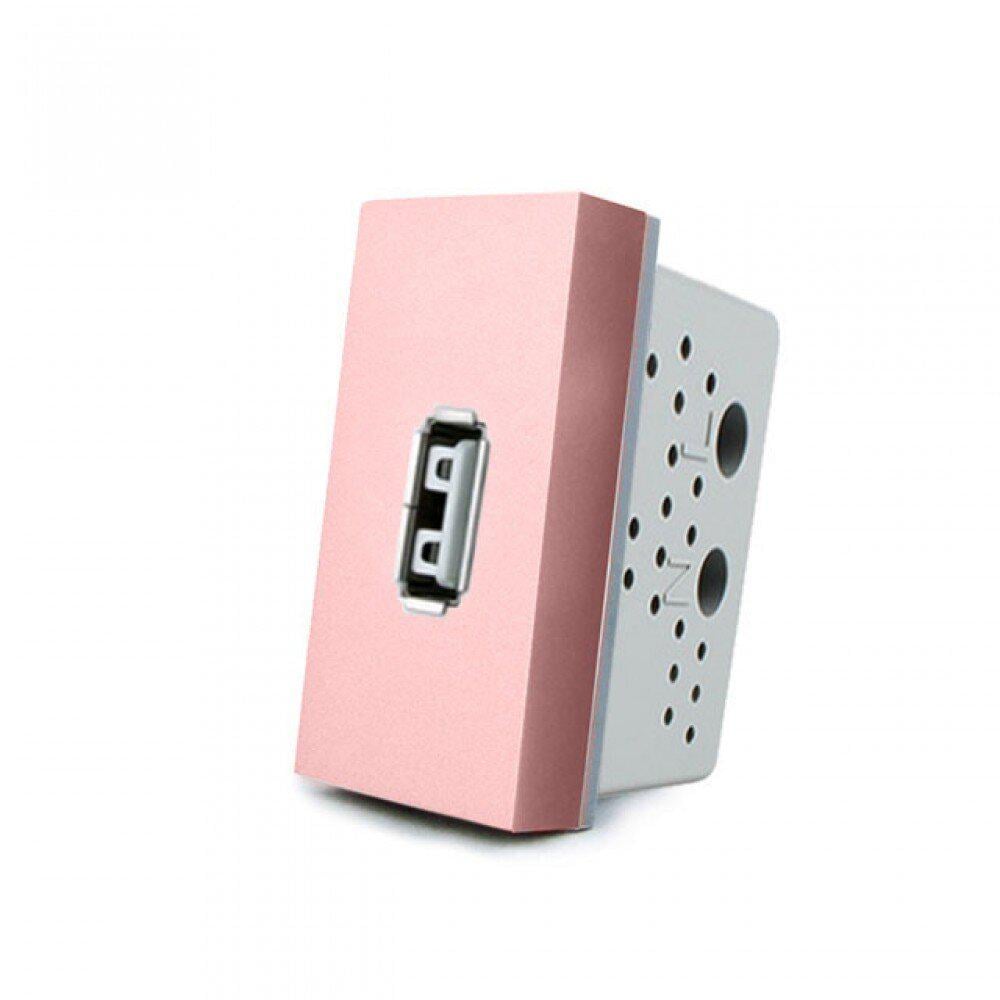 Розетка USB Livolo с блоком питания Розовый (C7-1USB-17)
