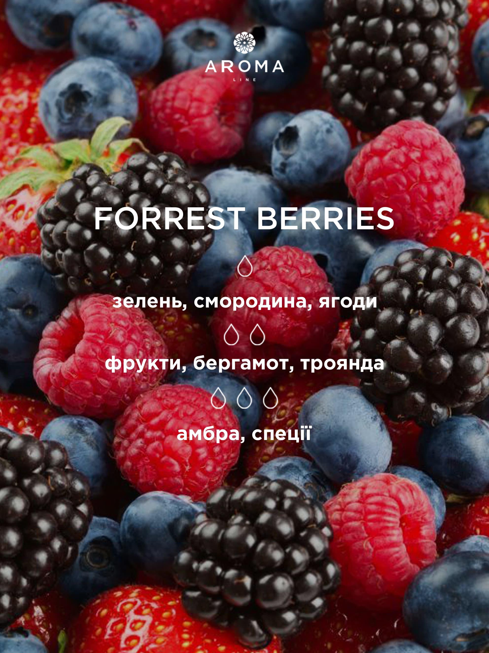 Ароматизатор для виготовлення свічок Forrest Berries 500 г (13059499) - фото 2