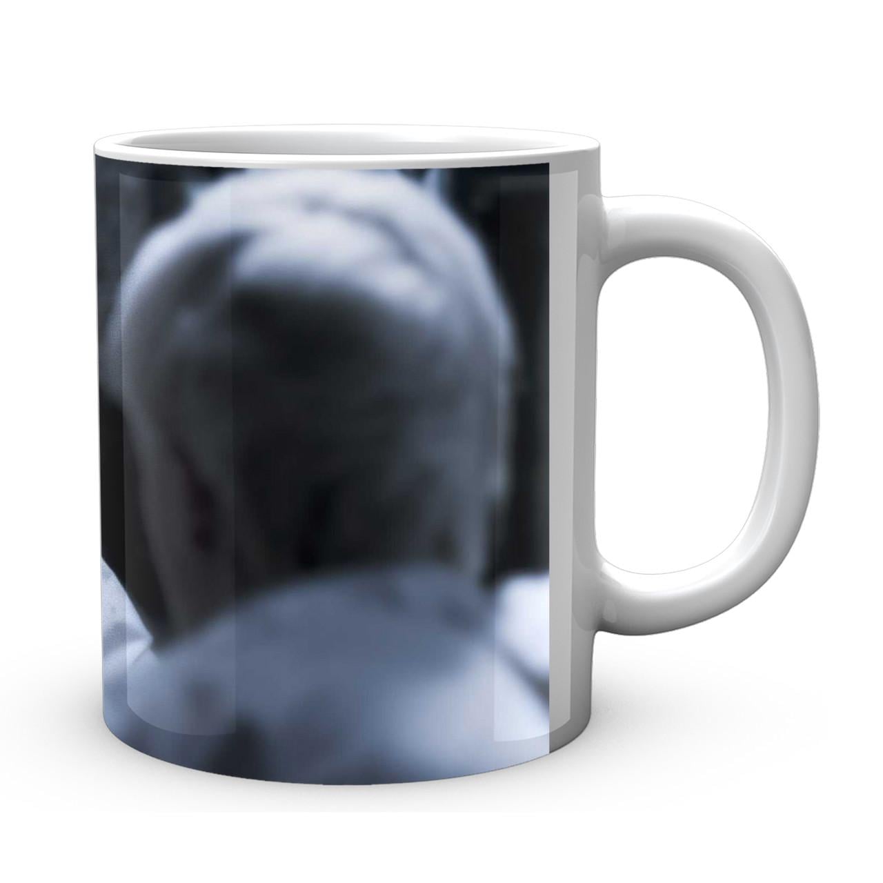 Чашка Geekland Harry Potter Драко 330 мл (HP 002.03)