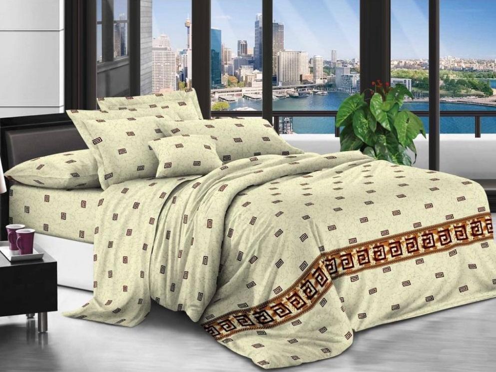 Постельное белье двуспальное Vital BP-141 бязь 3D Premium (DR006997)