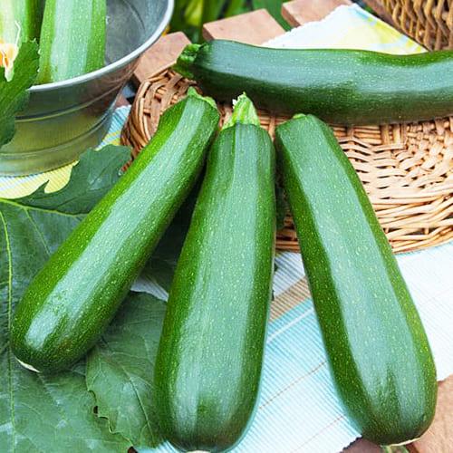 Насіння Кабачок Florium Тарміно F1 (6267)