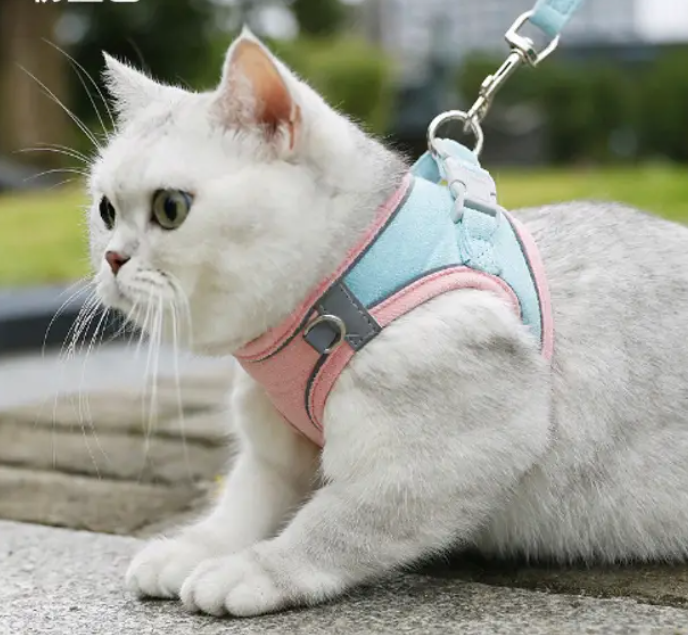 Шлейка-повідець для котів ЗАМШ S Рожевий/Блакитний (2296449048) - фото 2 Шлейка-повідець для котів ЗАМШ S Рожевий/Блакитний (2296449048) - фото 2