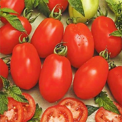 Семена Томат Florium Гібрид Тарасенко 3 (8482)