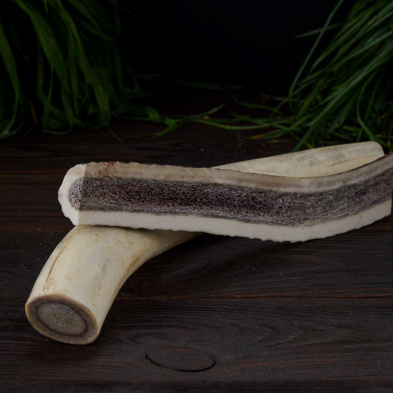 Сплит из рога оленя DogsRogs L 30 см (SplitL) - фото 2 Сплит из рога оленя DogsRogs L 30 см (SplitL) - фото 2