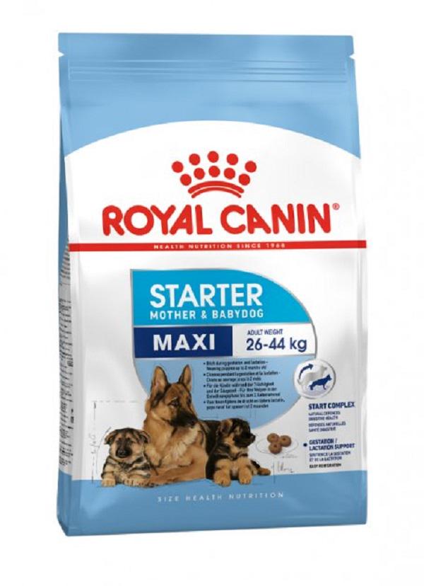 ᐉ Корм сухой Royal Canin Maxi Starter для щенков крупных пород до 2 ...