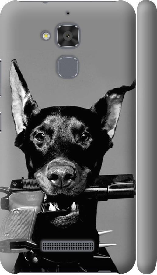 Чехол на Asus Zenfone 3 Max ZC520TL Доберман (2745m-442-42517)