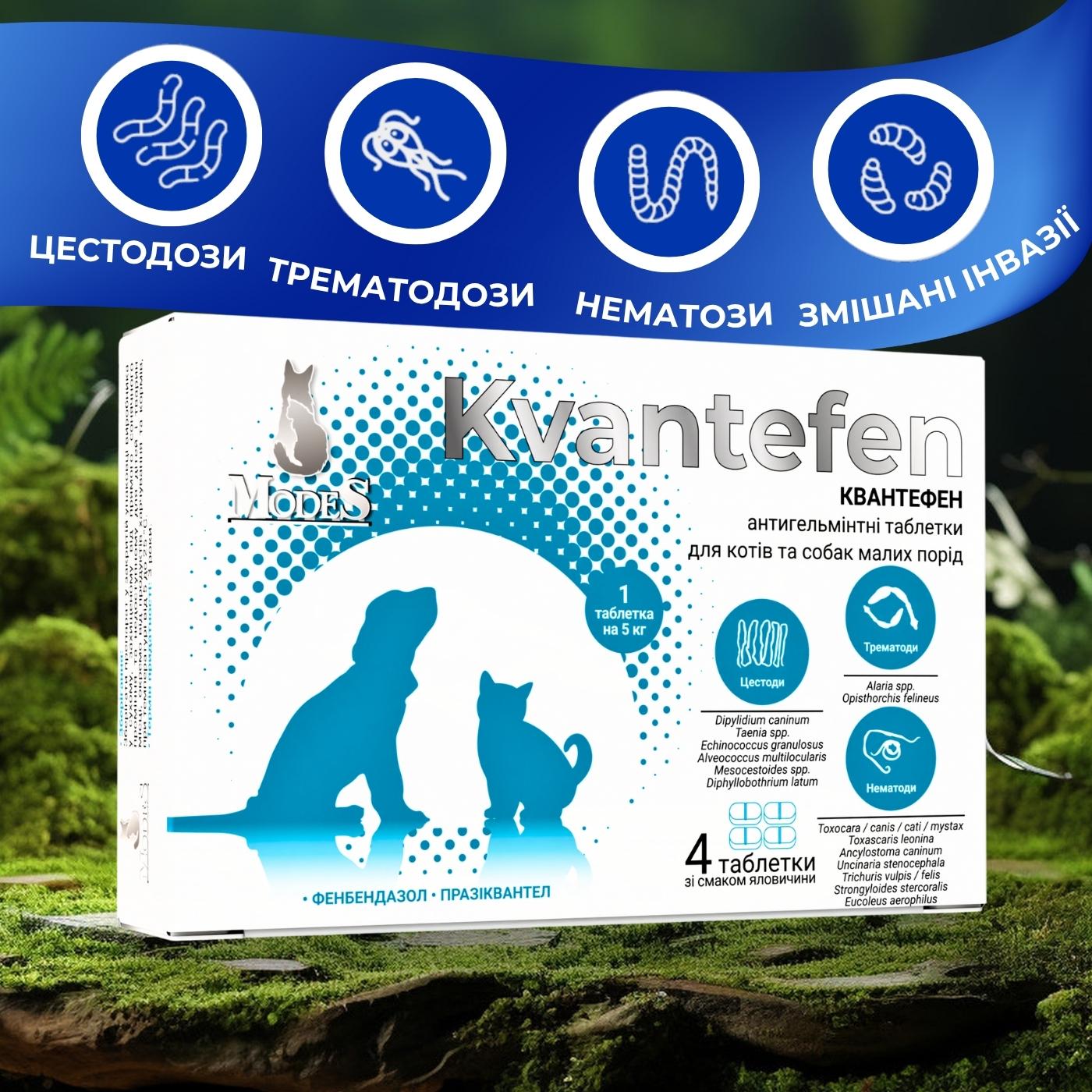 Таблетки антигельмінтні Kvantefen для котів та собак малих порід 4 табл. (27850192) - фото 5 Таблетки антигельмінтні Kvantefen для котів та собак малих порід 4 табл. (27850192) - фото 5