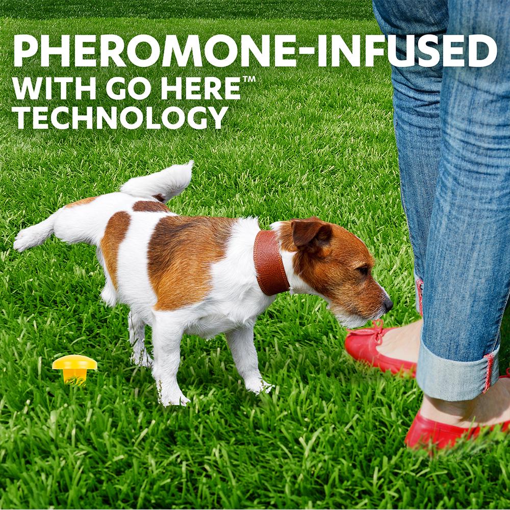 Пі Пост для собак Simple Solution Pee Post Pheromone-treated yard stake з феромонами для привчання собак постійно ходити в туалет у певному місці (ss13000) - фото 3