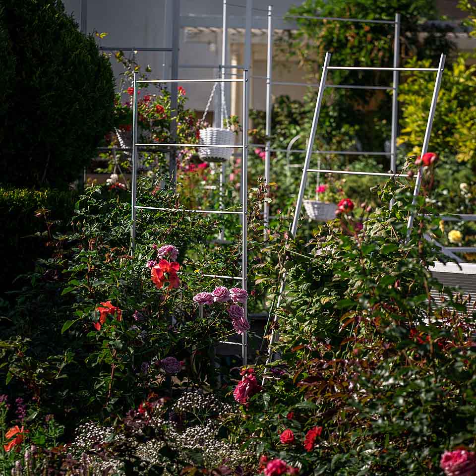 Опора для рослин шпалера садова 2000х1330 мм d 20 мм/d 12 мм (ШС-D20/D12-2000*1330) - фото 4 Опора для рослин шпалера садова 2000х1330 мм d 20 мм/d 12 мм (ШС-D20/D12-2000*1330) - фото 4