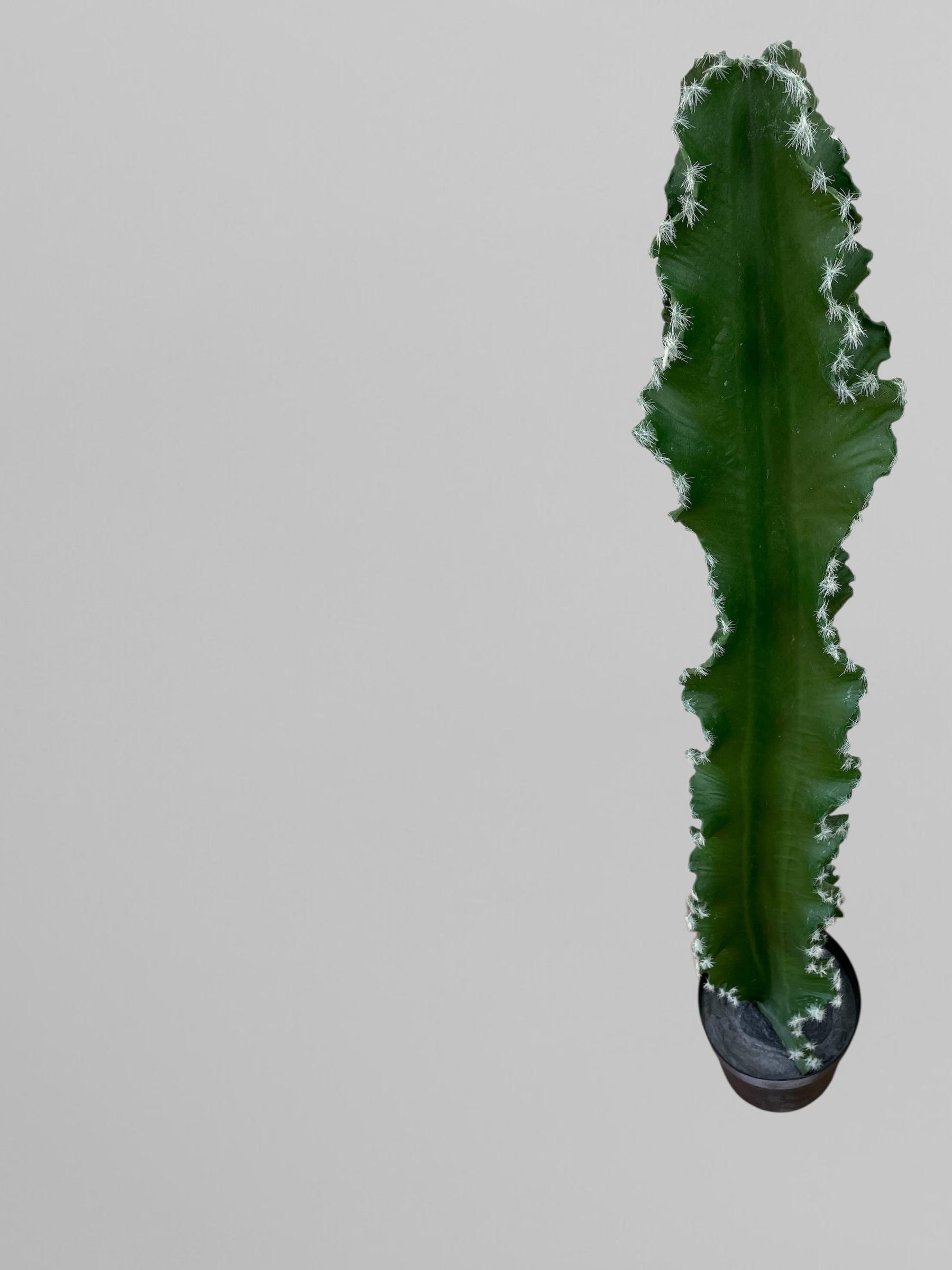 Искусственный кактус 138 см Зеленый (Р06007) - фото 5