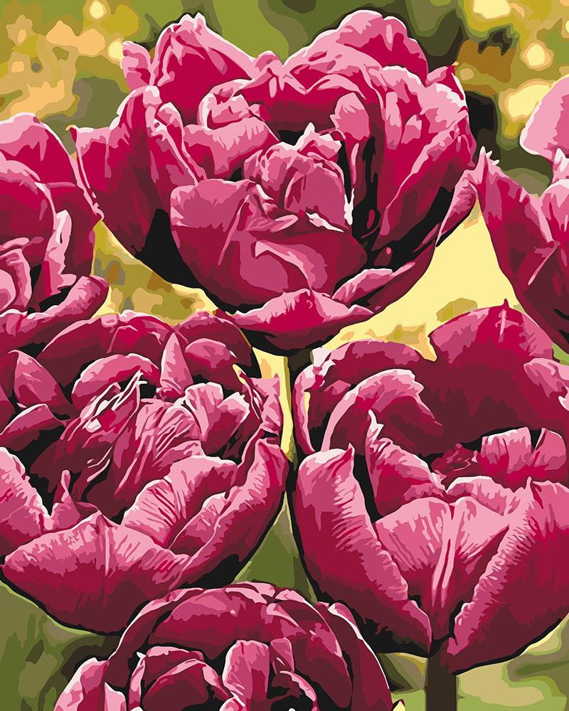 Картина по номерам Идейка Изысканная элегантность 40x50 см (KH3057)