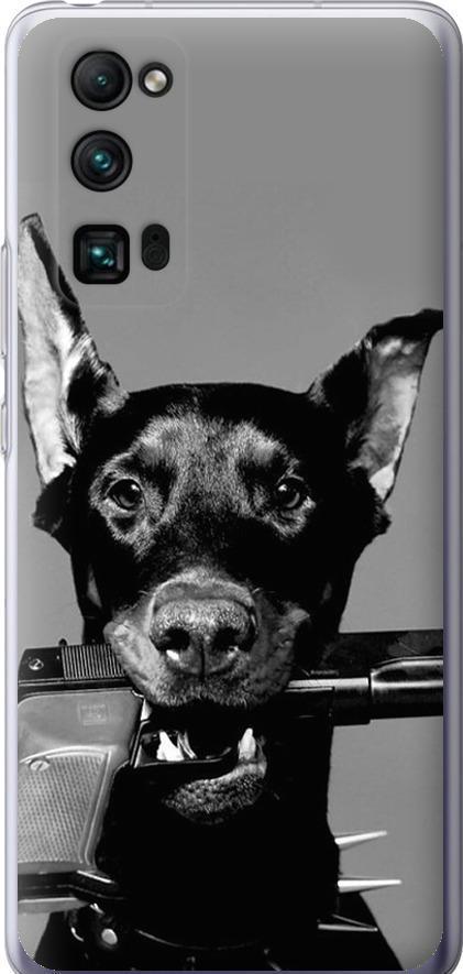 Чехол на Huawei Honor 30 Pro Доберман (2745u-1920-42517) Чехол на Huawei Honor 30 Pro Доберман (2745u-1920-42517)